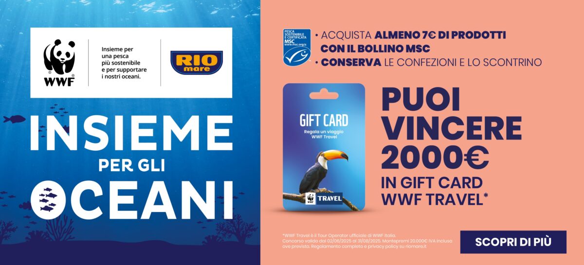 Concorso Insieme per gli oceani